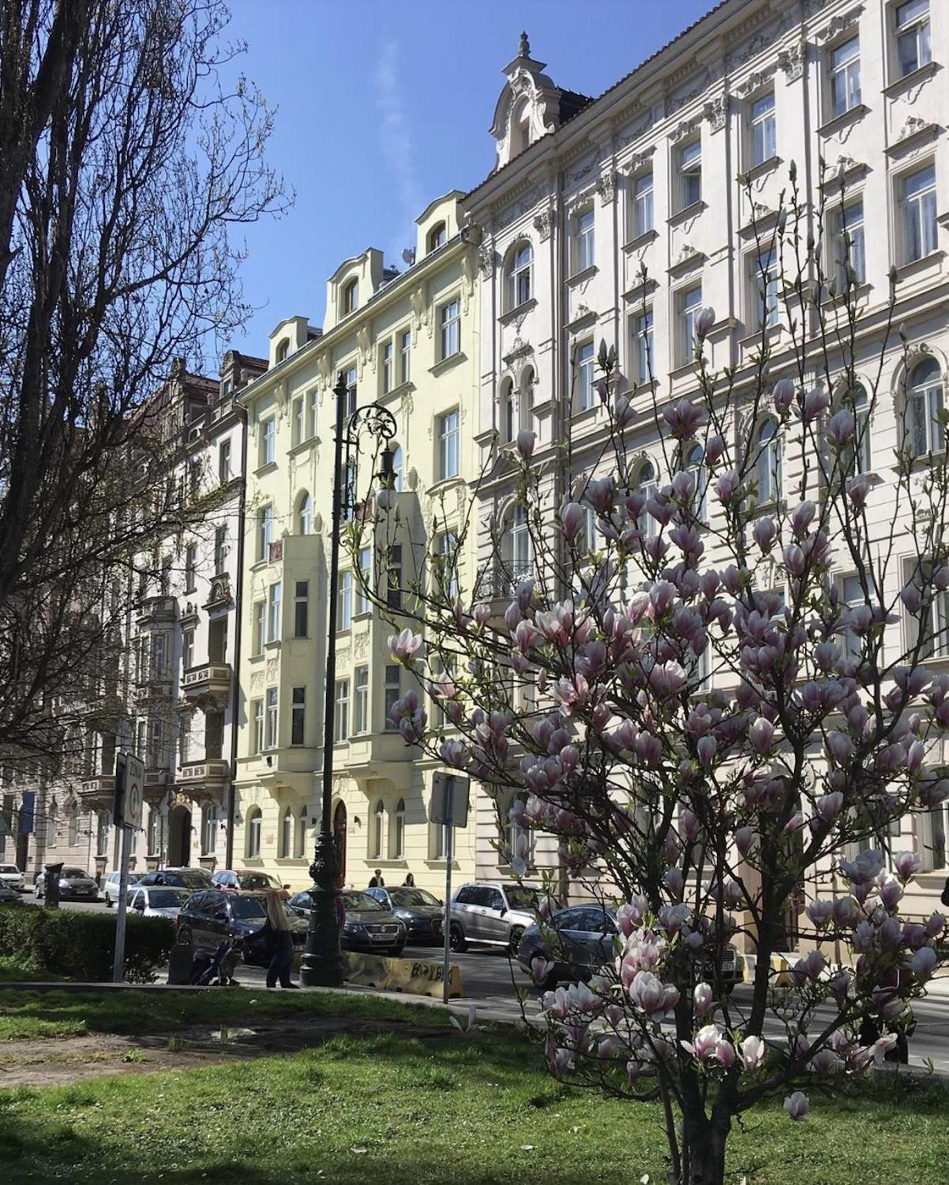 Apartament River Site Janackovo Nabrezi 27 *